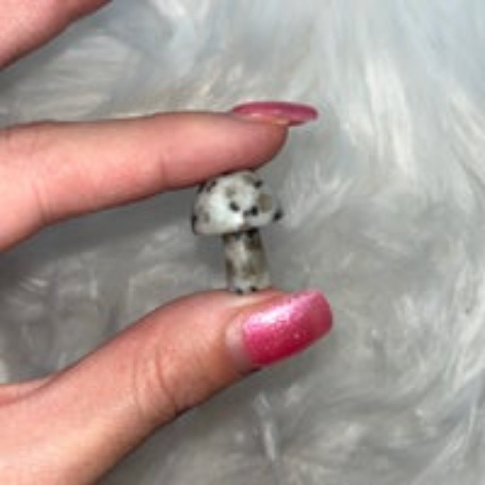 Crystal Magic Mushroom Set - Picture 7 of 13